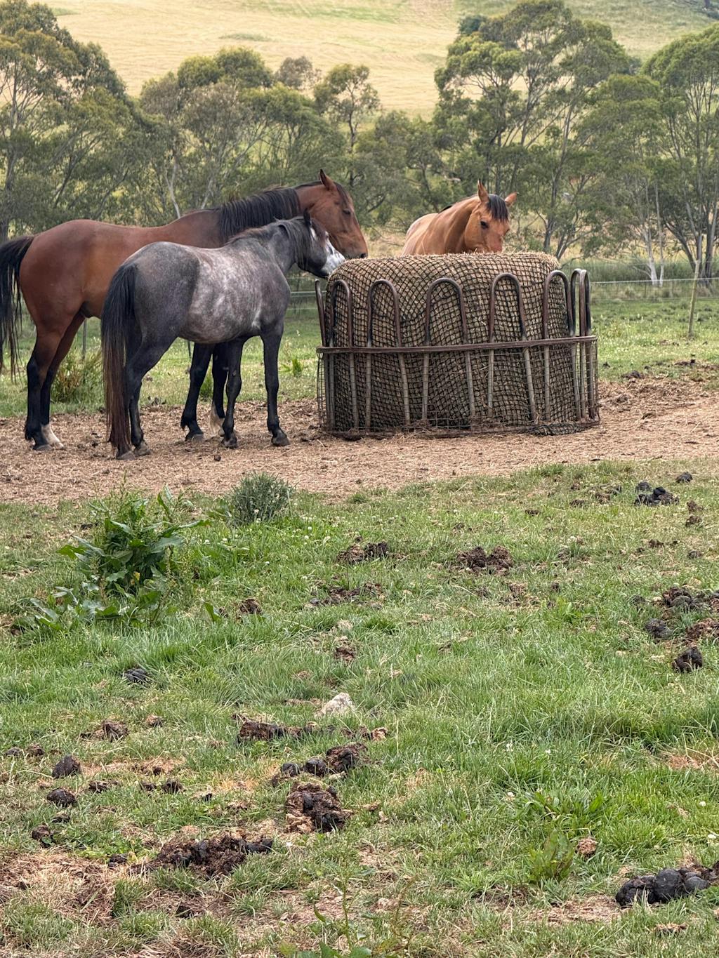 Deluxe Knotless 5x4 Round Bale Horse Slow Feeder Hay Net
