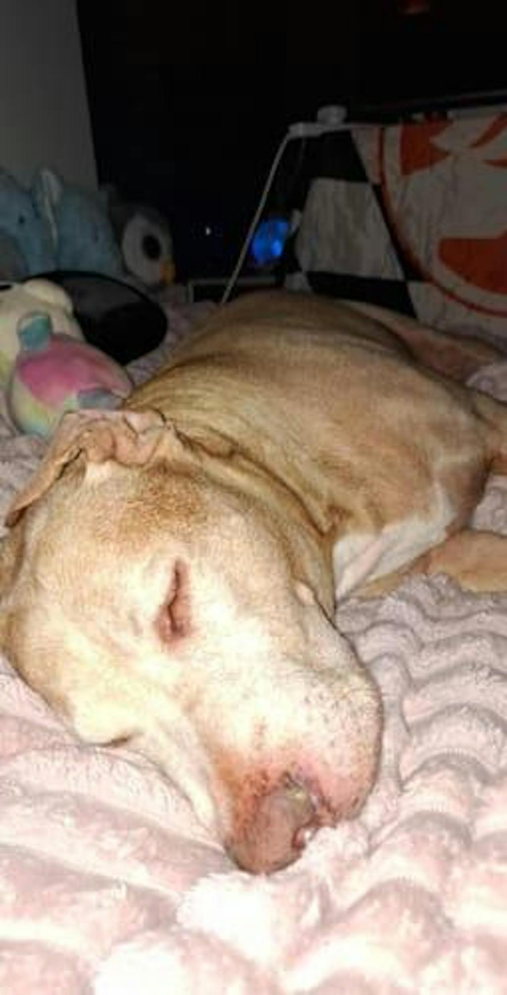 Cracker Night Blend 30ml