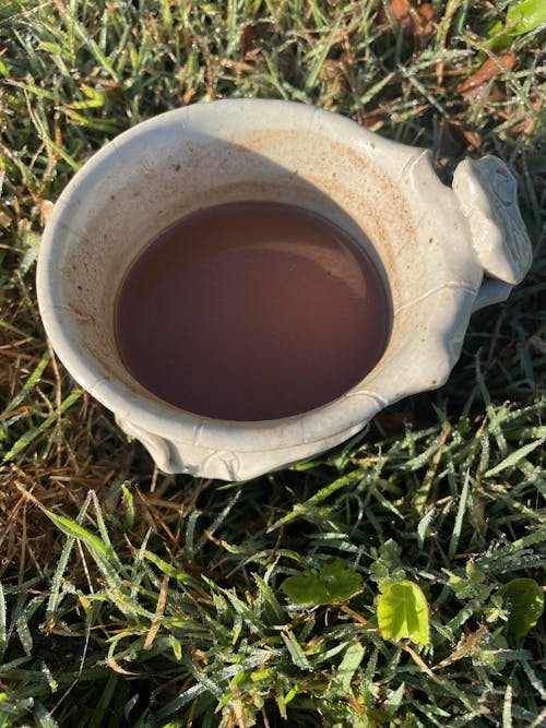 Criollo Peruvian Ceremonial Cacao