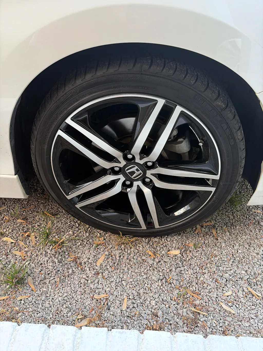 2016 Honda Accord 19" OEM Wheel Rim W64083MB