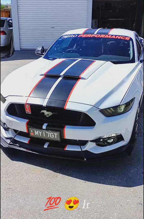 2015-2024 Ford Mustang White LED Illuminated Pony Grille Emblem, Gloss Black