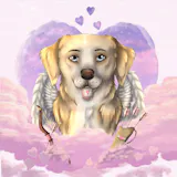 Portrait Spécial Saint-Valentin 2026
