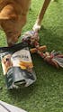 Healing Turmeric Yak Cheese Chews | 6-Hour Long Lasting Dental Chew