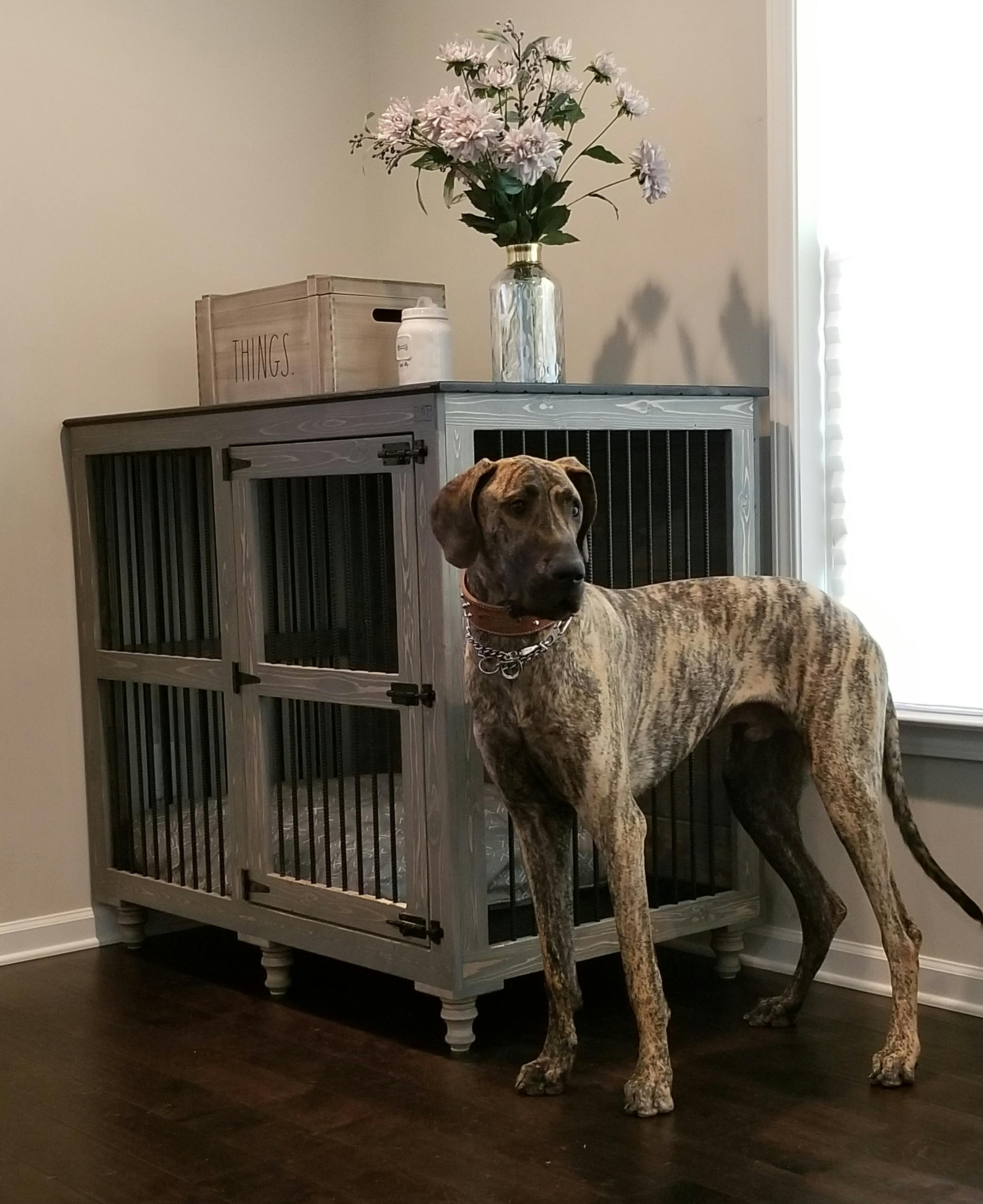 crate for great dane puppy