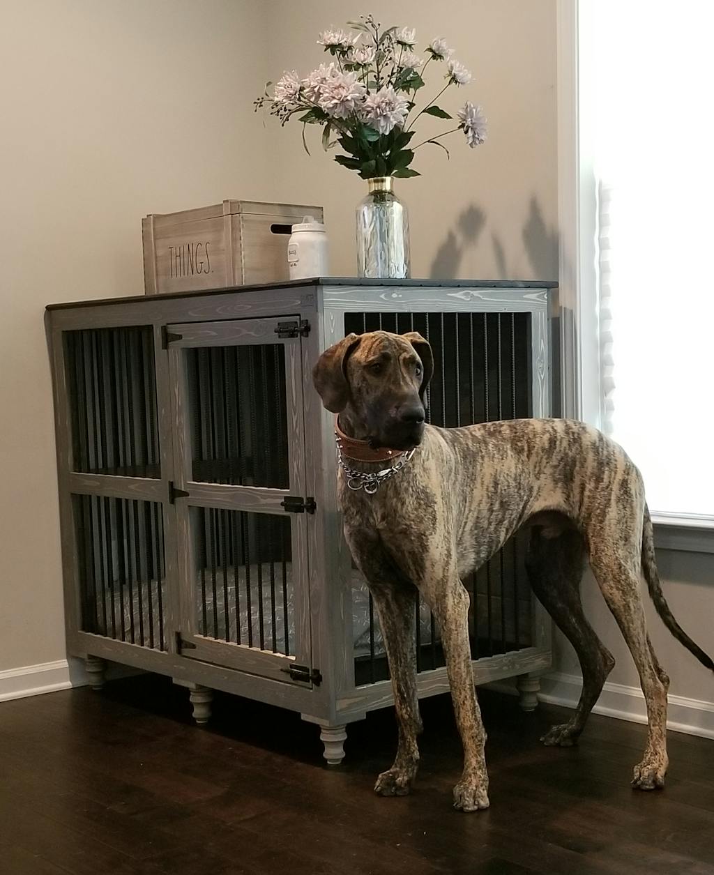 Great Dane Dog Furniture Custom Kennel for Great Danes B&B