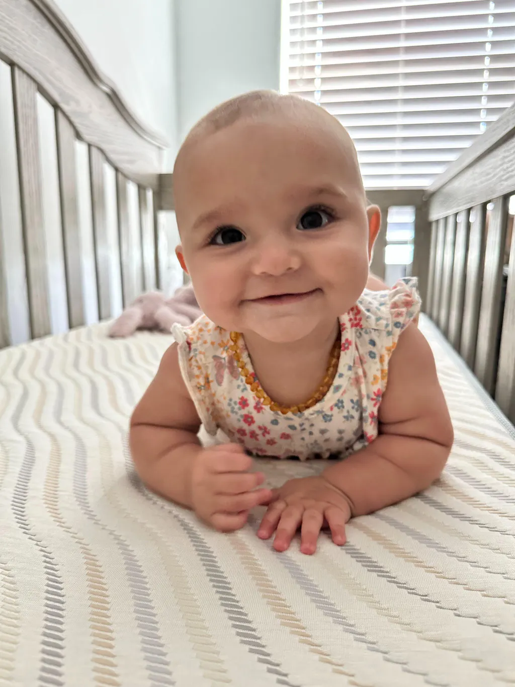 Cloud 4 USDA Bio Preferred Crib and Toddler Mattress with Soybean Fiber Mattress Cover