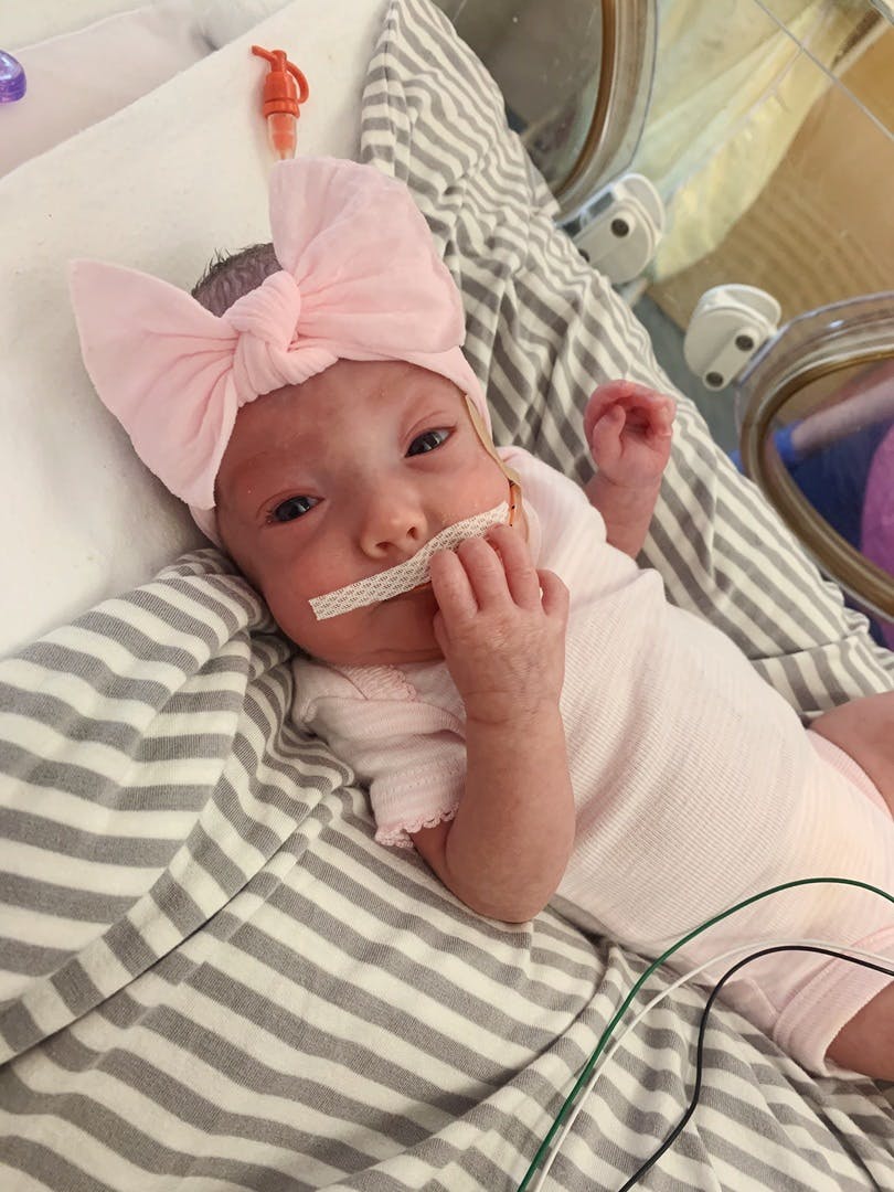 Preemie bows 2024