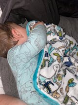 Roar! - Soft Baby Minky Blanket