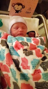 Fuchsia Hippos/Ash Gray - Soft Baby Minky Blanket