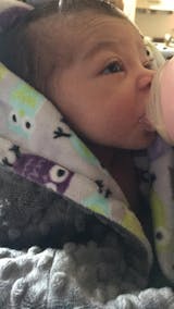 Violet Owls - Soft Baby Minky Blanket