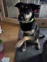 Item Personalization