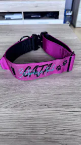 Hundehalsband BACO Magenta 2.0