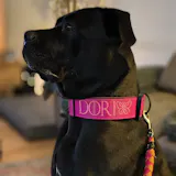 Item Personalization