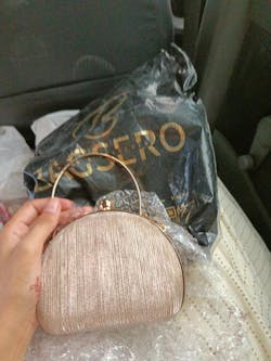 Majestic Shimmer Clutch