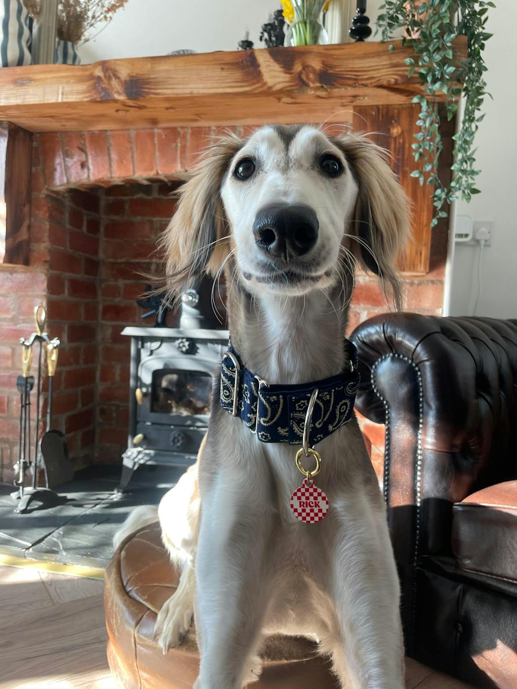 Red And Beige Checkers Pet ID Tag