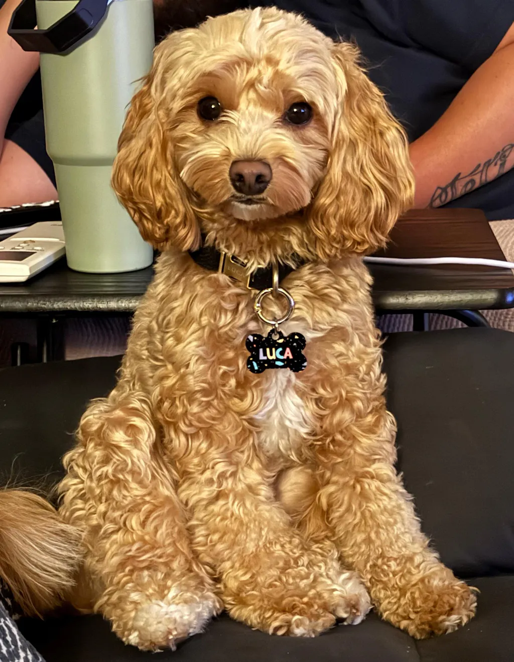 Brown And Beige Checkers Pet ID Tag