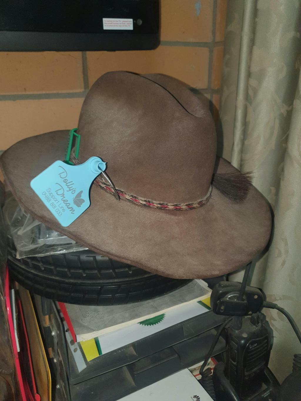 Dollys Dream Cattle Tag Bairnsdale Horse Centre