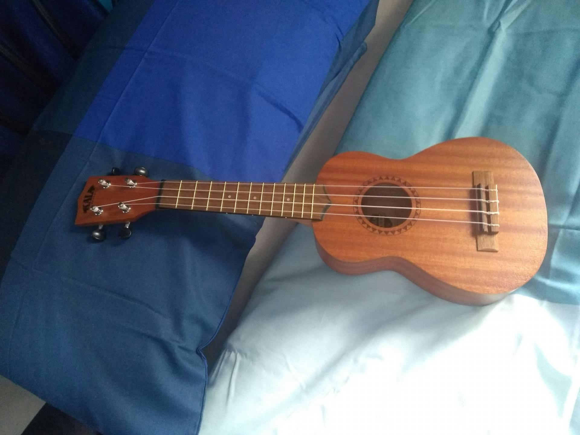 Buy Kala KALALTPS Learn To Play Ukulele Starter Kit with Online