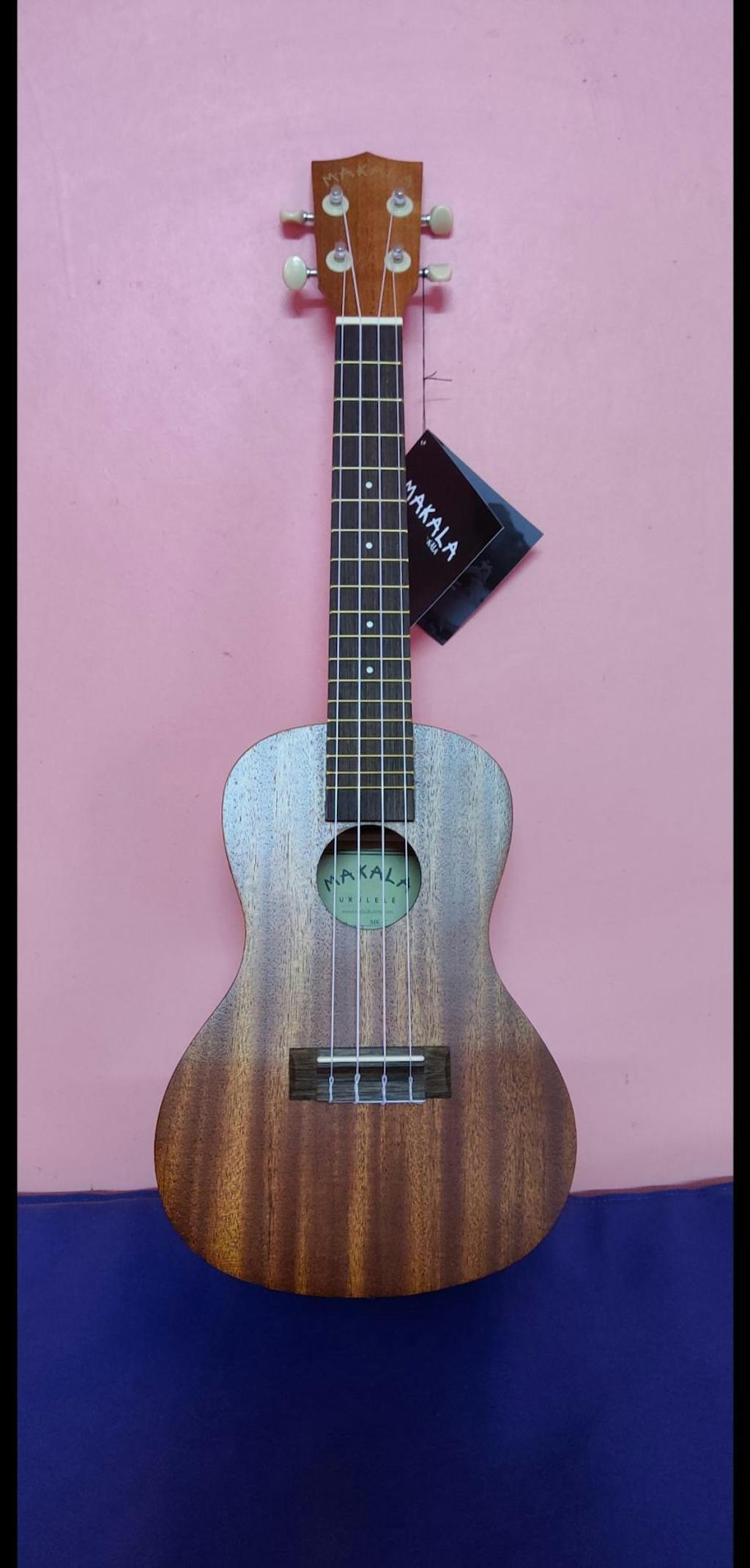 Buy Kala Makala MKC Concert Ukulele Online Bajaao
