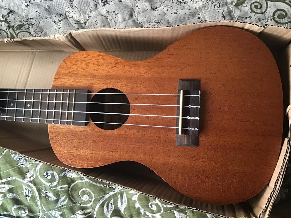 Buy Kala Makala MKC Concert Ukulele Online Bajaao