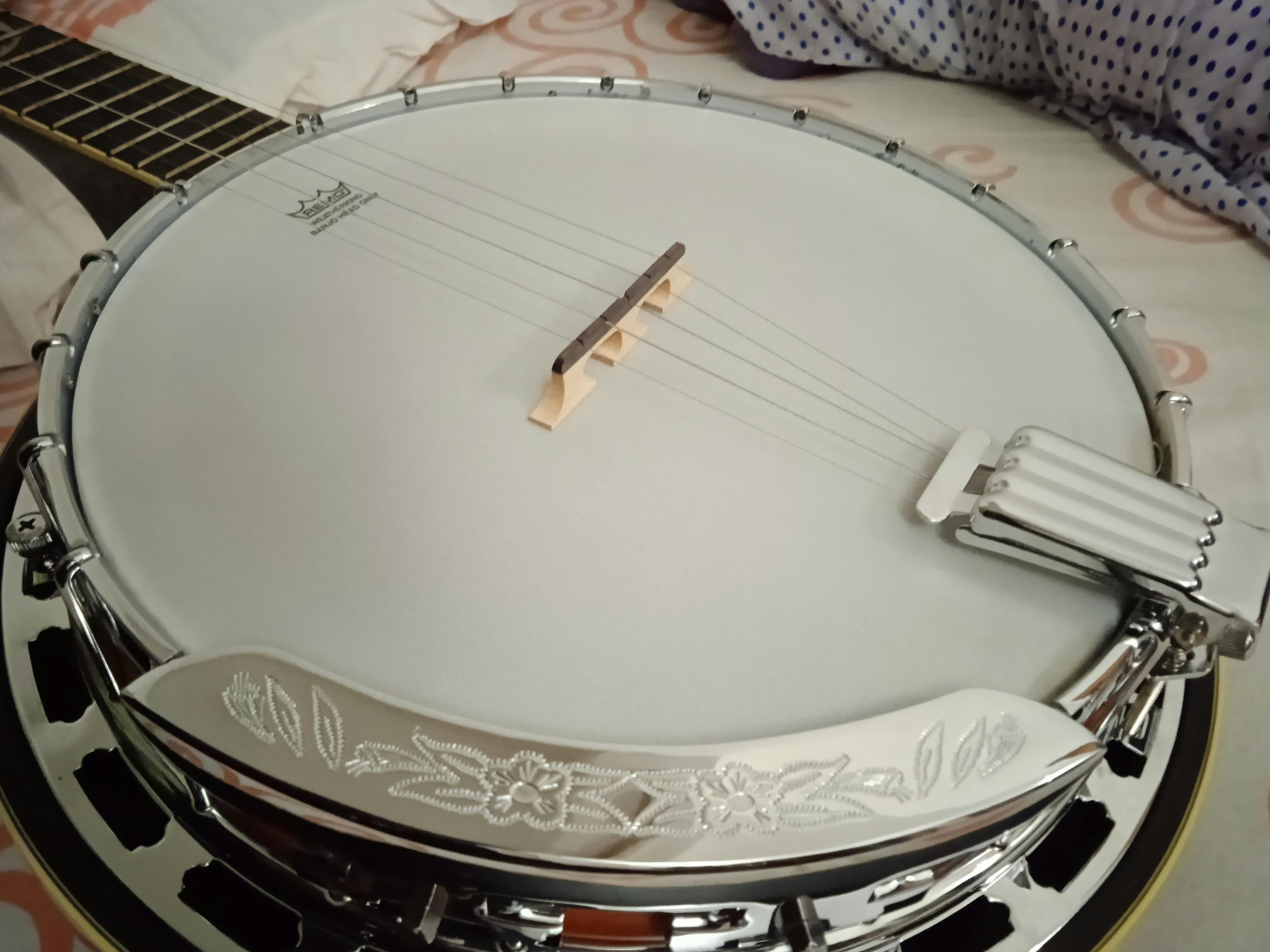 Buy Ibanez B200 Banjo - Open Box Online | Bajaao