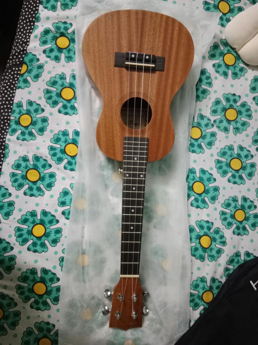 Buy Vault UK100C 24 inch Arched Back Concert Ukulele With Gig Bag