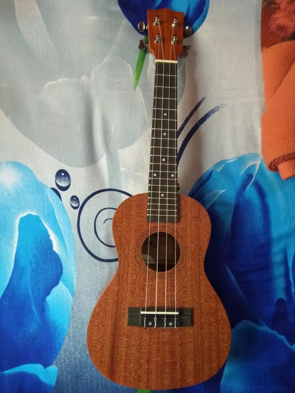 Buy Vault UK100C 24 inch Arched Back Concert Ukulele With Gig Bag