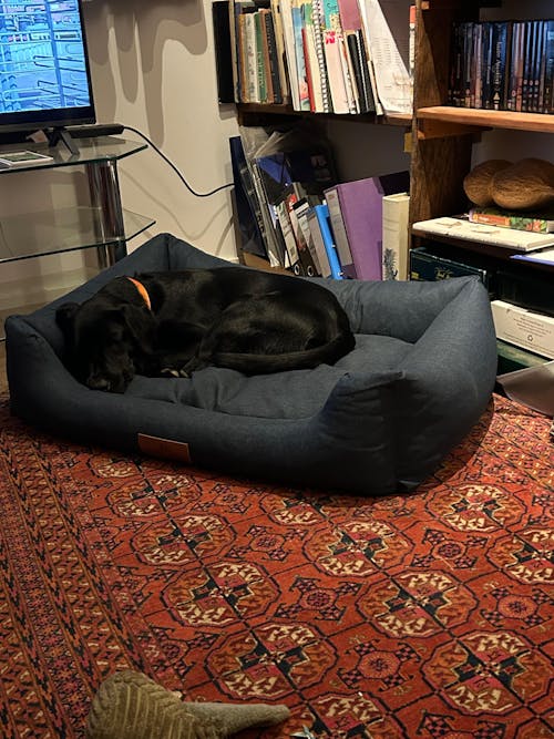 The Ultimate - Eco Friendly Orthopaedic Luxury Dog Bed, Navy Blue