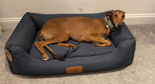 The Ultimate - Eco Friendly Orthopaedic Luxury Dog Bed, Navy Blue