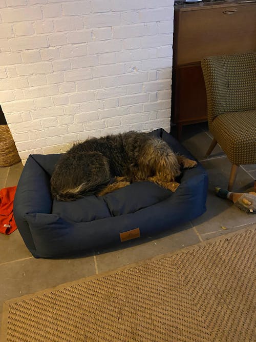 6 Month's Supply Of Dog Poop Bags