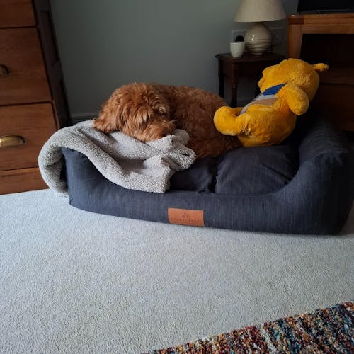 The Ultimate - Eco Friendly Orthopaedic Luxury Dog Bed, Slate Grey