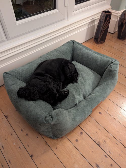 The Ultimate - Eco Friendly Orthopaedic Luxury Dog Bed, Sage Green