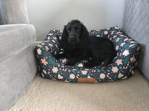 Christmas Covers For The Ultimate Eco Friendly Orthopaedic Luxury Dog Bed - Green