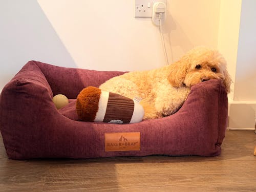 The Ultimate - Eco Friendly Orthopaedic Luxury Dog Bed, Rhubarb Red
