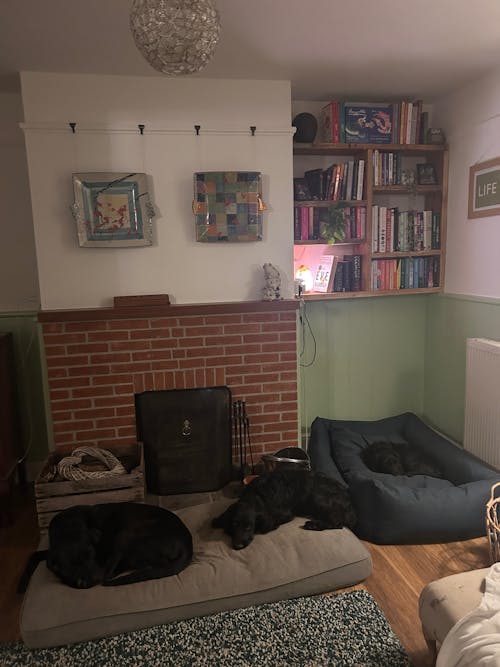 The Ultimate - Eco Friendly Orthopaedic Luxury Dog Bed, Navy Blue