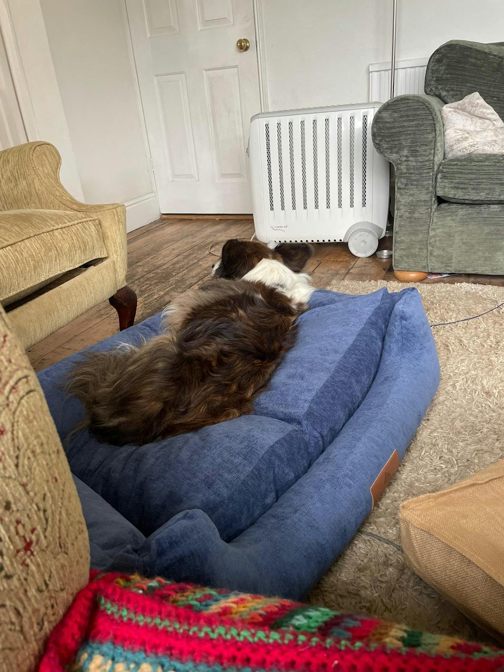 The Ultimate - Eco Friendly Orthopaedic Luxury Dog Bed, Regal Blue