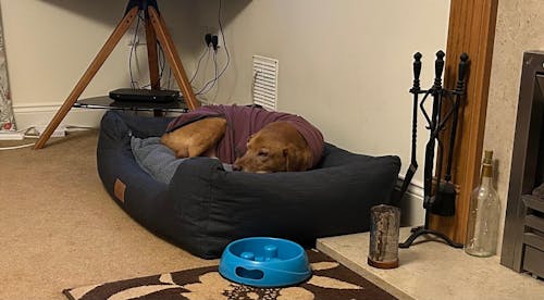 Interchangeable Spare Covers For The Ultimate Eco Friendly Orthopaedic Luxury Dog Bed