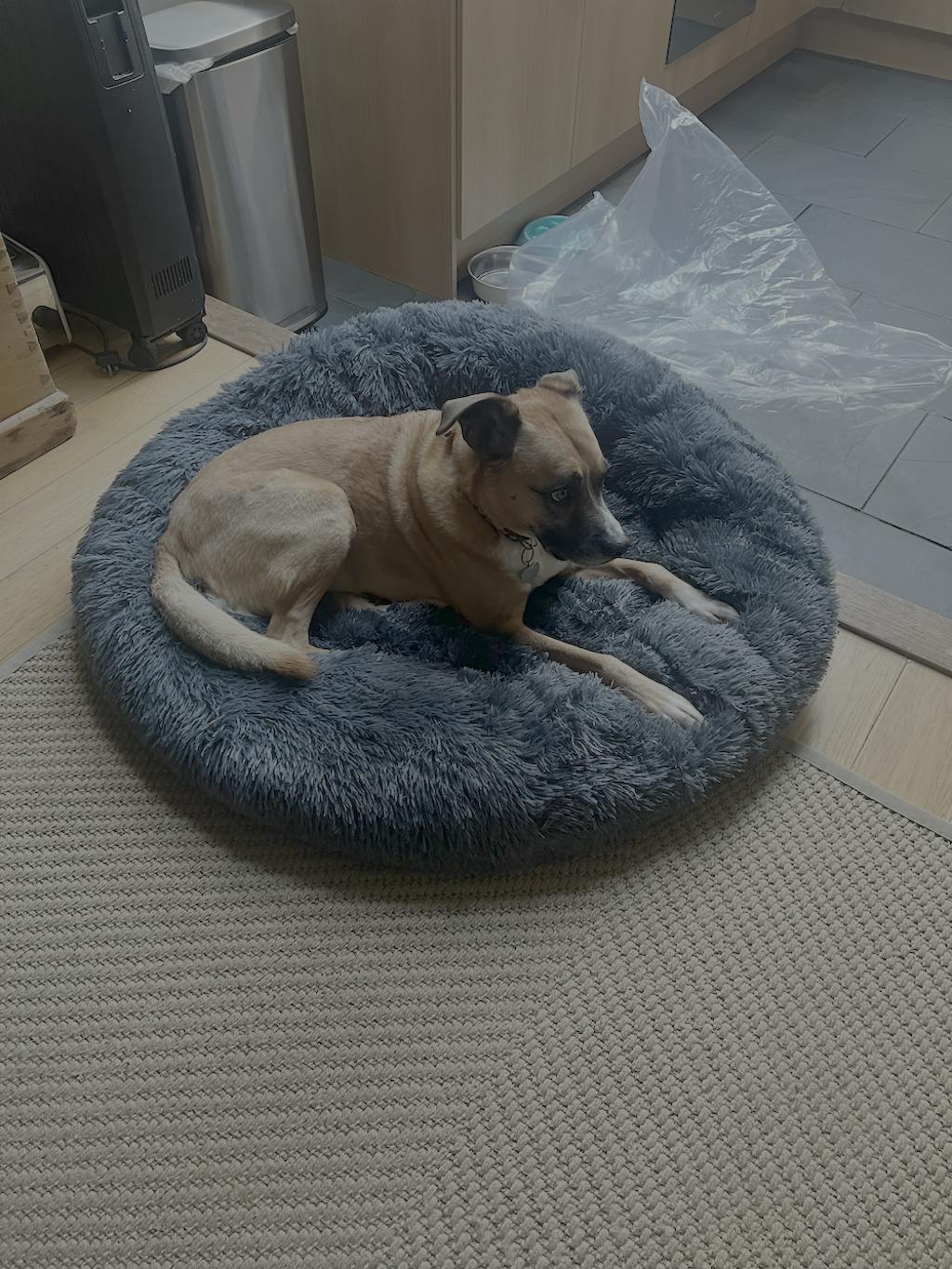 The Donut - Eco Friendly Luxury Calming Donut Dog Bed, Dark Grey