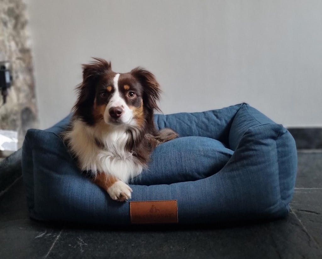 3 Month's Supply Of Dog Poop Bags