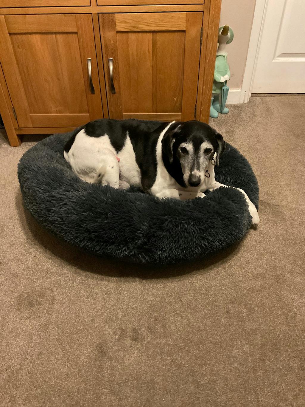 The Donut - Eco Friendly Luxury Calming Donut Dog Bed, Dark Grey