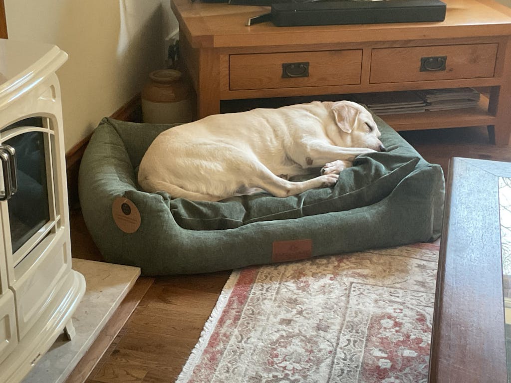 The Ultimate - Eco Friendly Orthopaedic Luxury Dog Bed, Sage Green