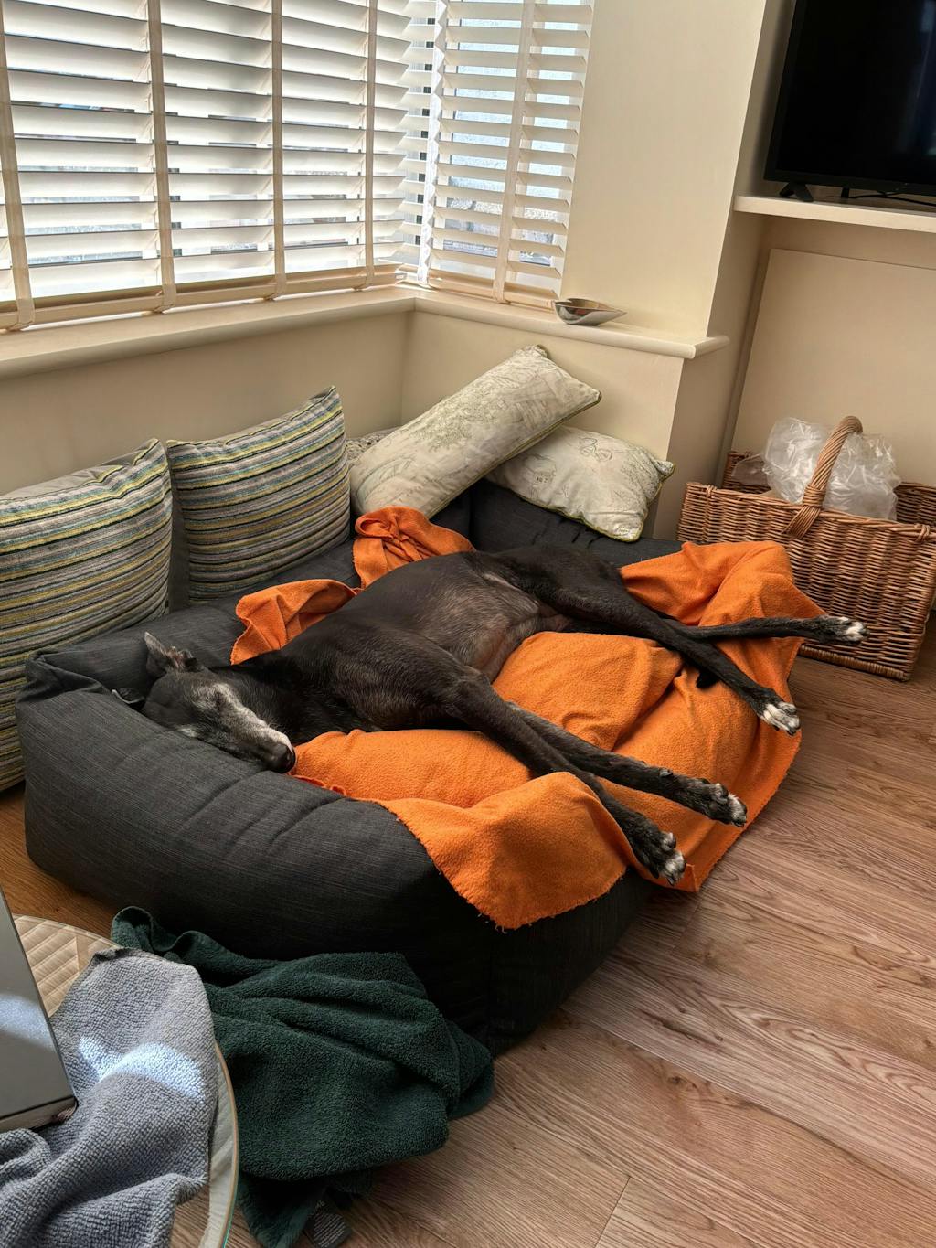 The Ultimate - Eco Friendly Orthopaedic Luxury Dog Bed, Slate Grey