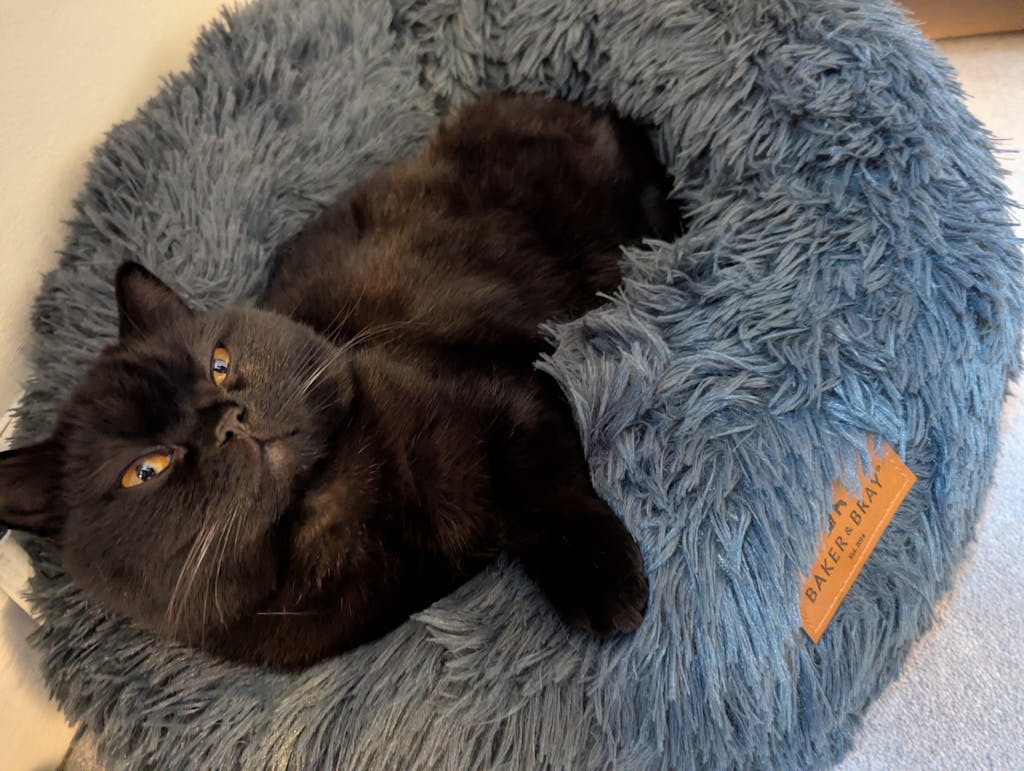 The Donut - Eco Friendly Luxury Calming Donut Dog Bed, Dark Grey