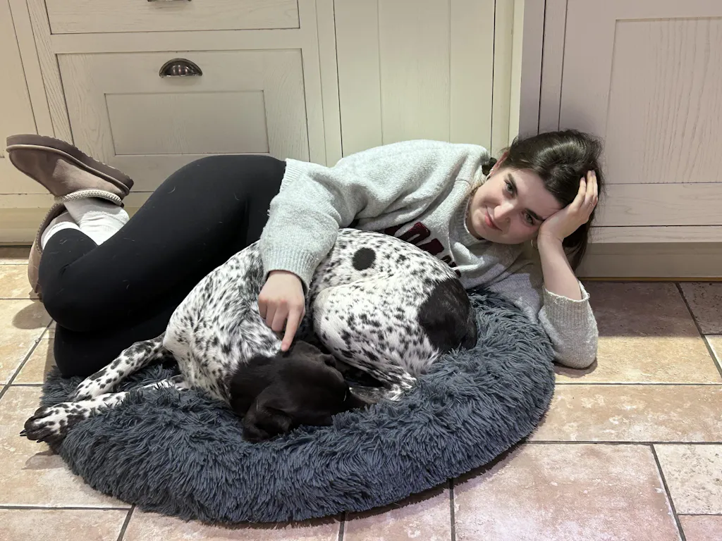 The Donut - Eco Friendly Luxury Calming Donut Dog Bed, Dark Grey