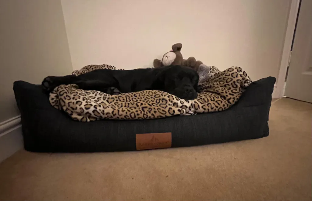 The Ultimate - Eco Friendly Orthopaedic Luxury Dog Bed, Slate Grey