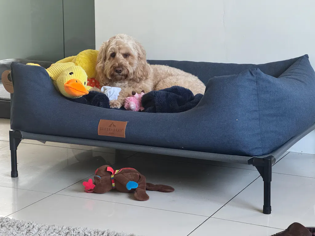 Interchangeable Spare Covers For The Ultimate Eco Friendly Orthopaedic Luxury Dog Bed