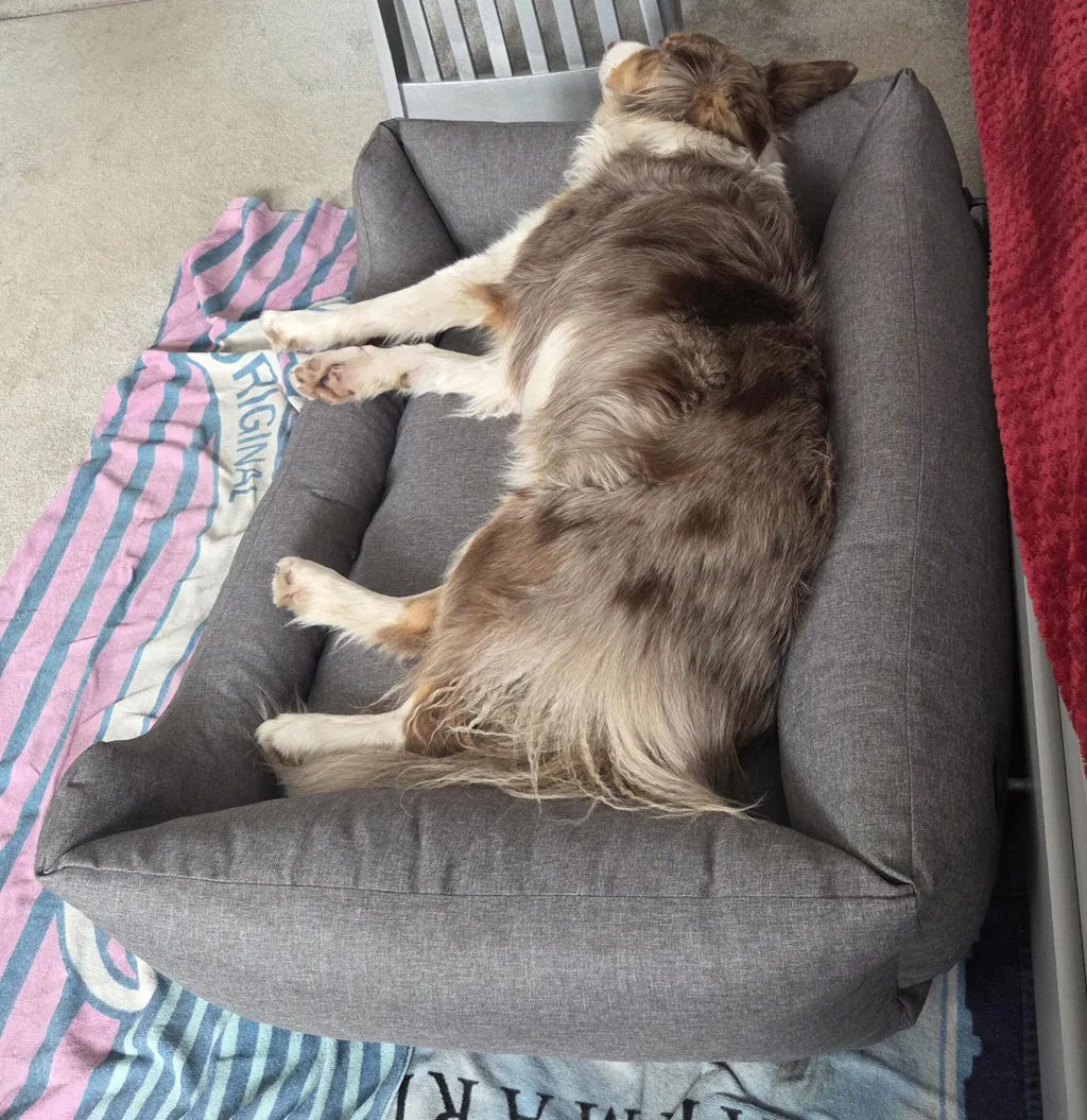 The Comfort - Eco Friendly Orthopaedic Luxury Dog Bed, Warm Grey