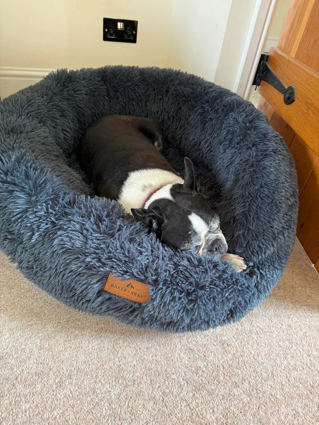 The Donut - Eco Friendly Luxury Calming Donut Dog Bed, Dark Grey