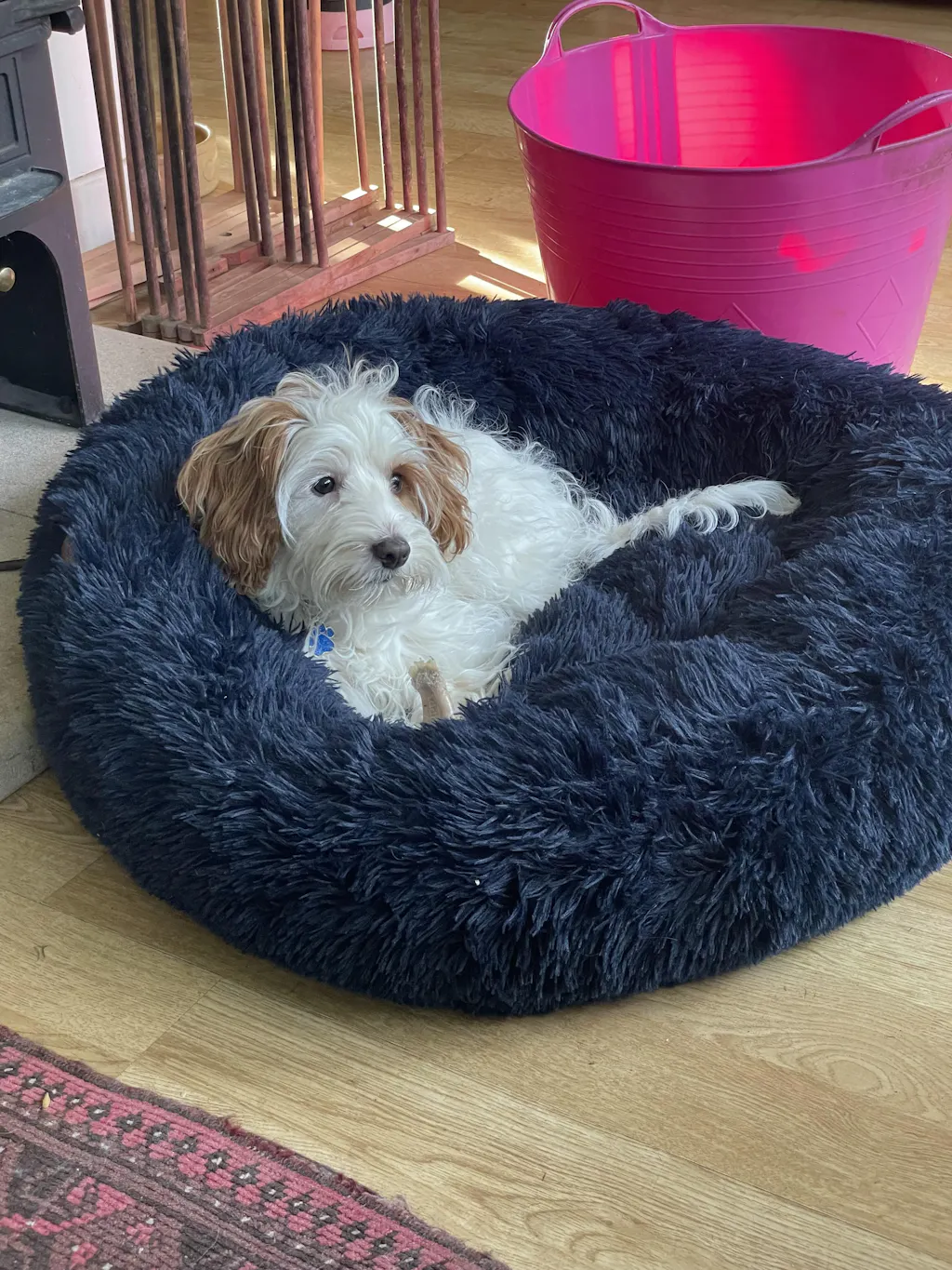 The Donut - Eco Friendly Luxury Calming Donut Dog Bed, Navy