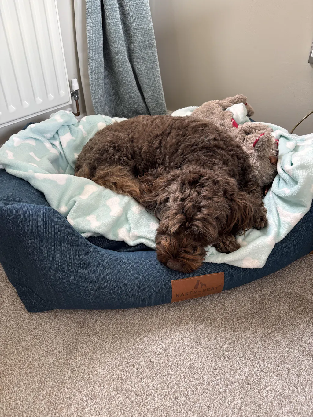The Ultimate - Eco Friendly Orthopaedic Luxury Dog Bed, Teal Blue-Green